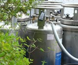 Keine Gasfabrik: El Bulli von hinten