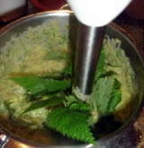 Frischer geht´s nimmer