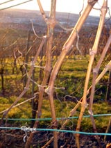 So ist sogar Stuttgart schön