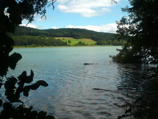Ein Vogelschutzgebiet ist der See, weshalb Sie unbedingt auf dem Weg bleiben und nicht zu laut sein sollten. Oft schaut hier die äußerst gefährdete Moorente vorbei. Gespeist wird der See von natürlichen Bächen und unterirdischen Quellen, weshalb sein torfig-weiches Wasser immer schön kühl bleibt.