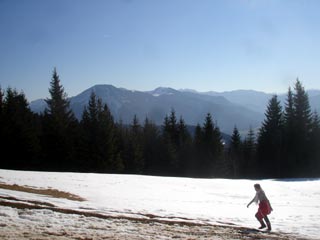Es grüßen die Gipfel der österreichischen Alpen