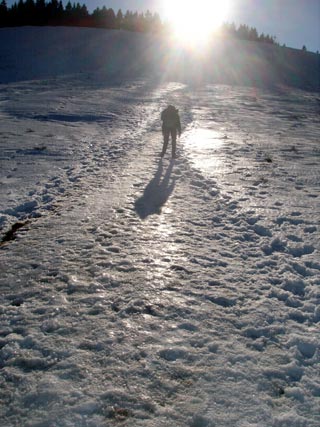 Es gibt ihn noch, den Schnee. Hier beim steilen Anstieg zur Kreuzbergalm