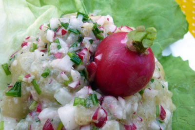 Radieschen und Schnittlauch geben den Pfiff: Stozenkäse