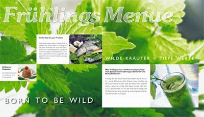 Wilder Frühling: Menü mit Schwarzwald-Viagra, Wildkräutersalat, Bachforelle und Rhabarber-Dessert