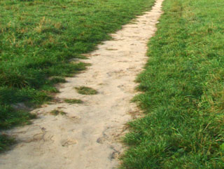Wichtig; Weiche Wege wählen