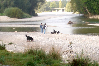 Wilder Fluß und westliche Werte: Viele Hunde, keine Kinder