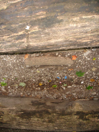 Mutprobe 1: Sprung von Baumstamm zu Baumstamm