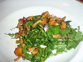 So schmeckt Diabetes-Genuß: Wildkräutersalat mit Pfifferlingen