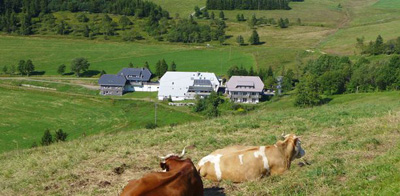 Wo die Welt noch in Ordnung ist: "Zähringer Hof"